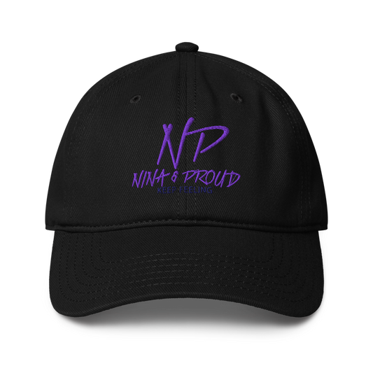 N & P Low Profile Baseball Cap | Otto Cap 18-253